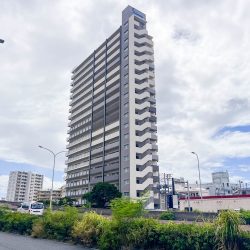 【プレサンスロジェ牧港レーヴタワー】築浅で高性能設備の高階層3LDK！ペット可能！駐車場あり！