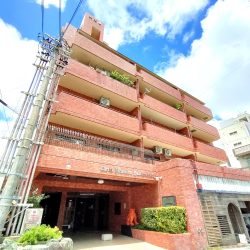 【ライオンズマンション大文閣】松山エリアの2LDKリフォーム済み角部屋！9階の眺望あり！