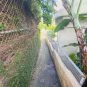 外観 外周