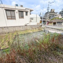 西側より外観