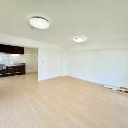 LDK（約22.5帖）内装