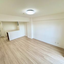 LDK（約15.8帖）内装