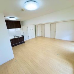 LDK（約18.3帖）内装