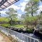 外観 庭園